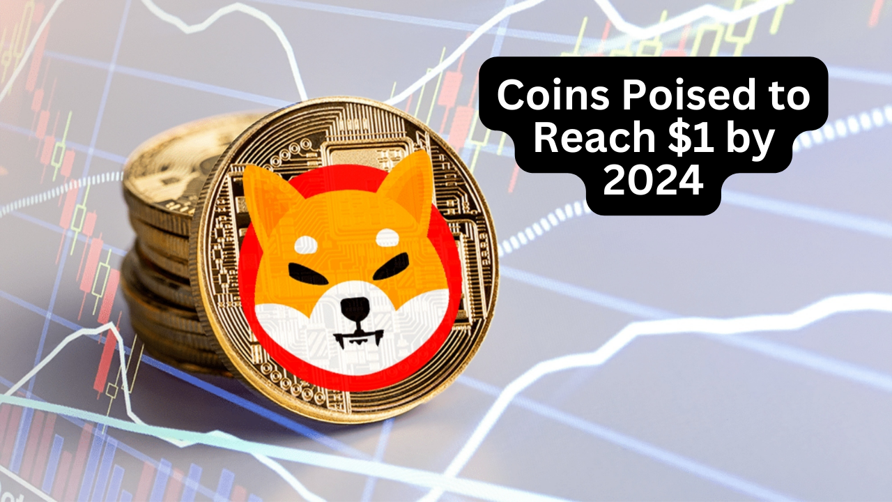 Which coin will reach $1 in 2024?